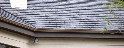 DaVinci Shake Roof with Snow Guard Pattern